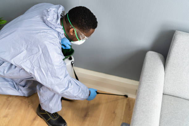 Best Real Estate Pest Inspections  in New Holland, PA